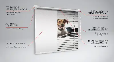 Fensterrollo mit Hundemotiv für den Innenbereich