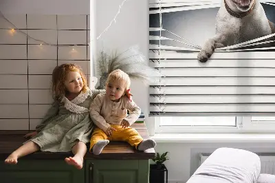 Fensterrollo mit Hundemotiv für den Innenbereich