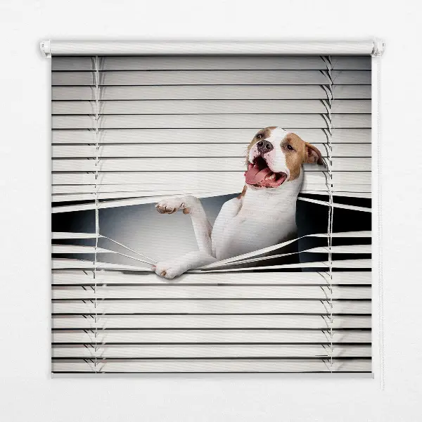 Fensterrollo mit Hundemotiv