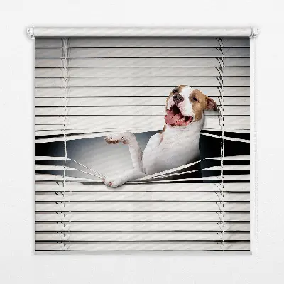 Fensterrollo mit Hundemotiv