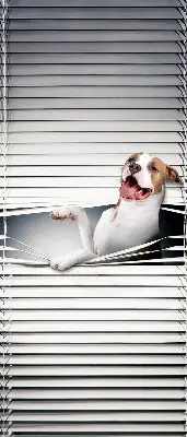 Fensterrollo mit Hundemotiv
