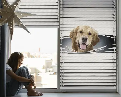 Fensterrollo mit Motiv eines goldenen Hundes