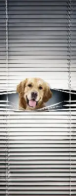 Fensterrollo mit Motiv eines goldenen Hundes