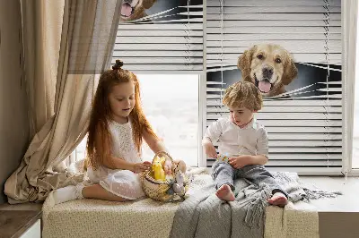 Fensterrollo mit Motiv eines goldenen Hundes
