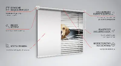 Fensterrollo mit Motiv eines goldenen Hundes