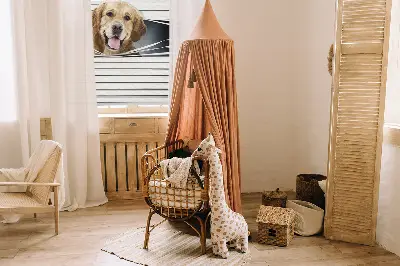 Fensterrollo mit Motiv eines goldenen Hundes