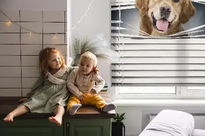 Fensterrollo mit Motiv eines goldenen Hundes