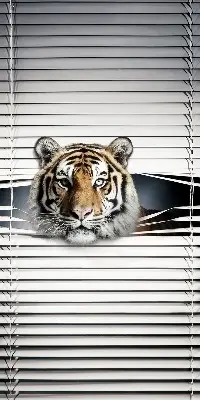 Fensterrollo für den Innenbereich von Tiger