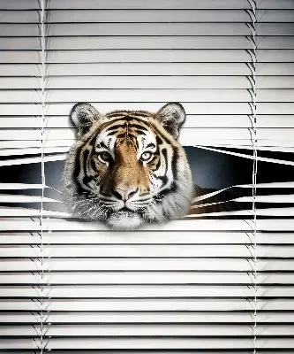 Fensterrollo für den Innenbereich von Tiger