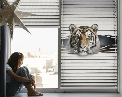 Fensterrollo für den Innenbereich von Tiger