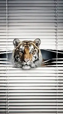 Fensterrollo für den Innenbereich von Tiger