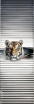 Fensterrollo für den Innenbereich von Tiger