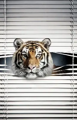 Fensterrollo für den Innenbereich von Tiger