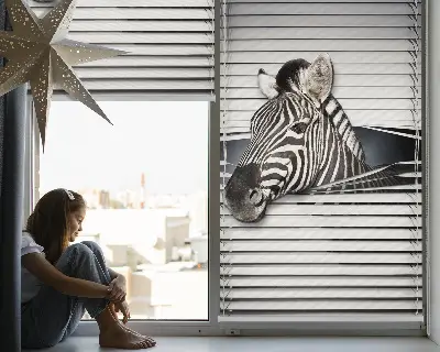 Rollo für fenster