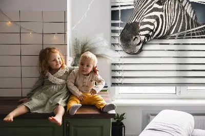 Rollo für fenster