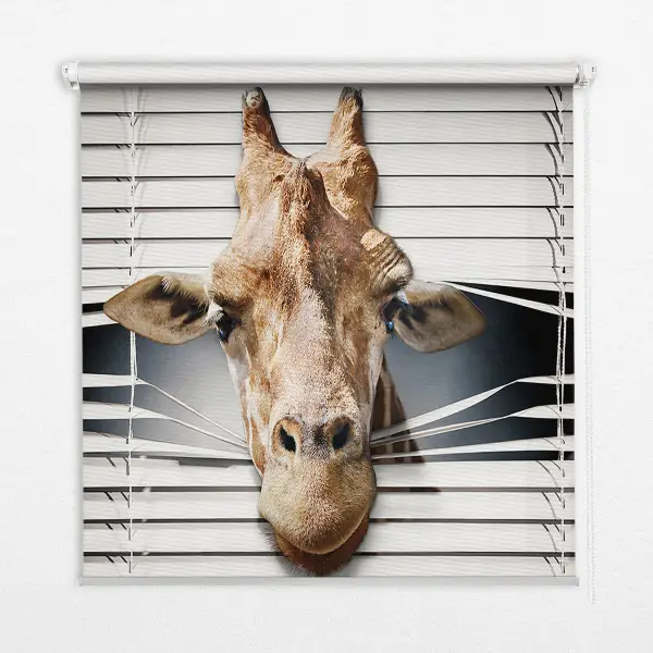 Fensterrollo mit Giraffenmotiv