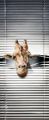 Fensterrollo mit Giraffenmotiv
