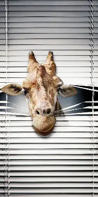 Fensterrollo mit Giraffenmotiv
