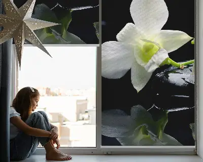 Fenster rollo Orchideen und Eleganz