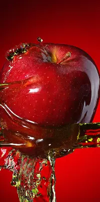 Verdunkelungsrollo Roter Apfel in der Tiefe