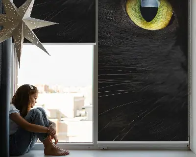 Fenster rollo Katzenaugen