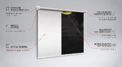Fenster rollo Katzenaugen