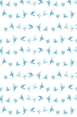 Fenster rollo Blaue Vögel