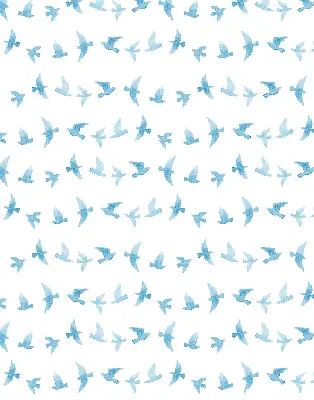 Fenster rollo Blaue Vögel