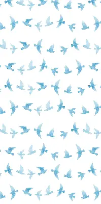 Fenster rollo Blaue Vögel