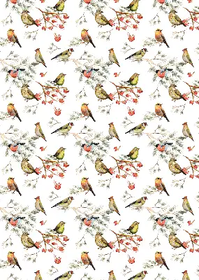 Fenster rollo Vögel auf den Zweigen