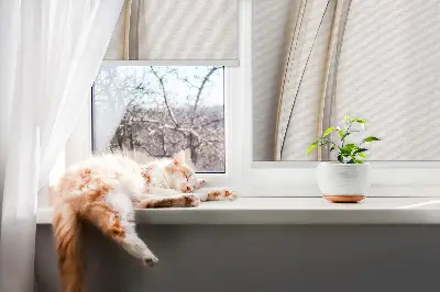 Rollo lichtundurchlässig Welle auf weißem Hintergrund
