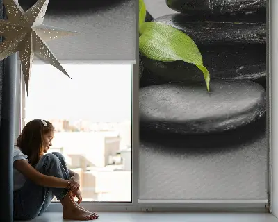 Fenster rollo Orchidee auf den Steinen