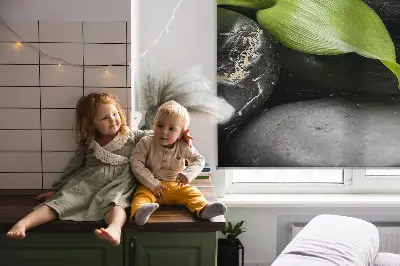 Fenster rollo Orchidee auf den Steinen