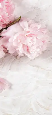 Rollo lichtundurchlässig Blumen
