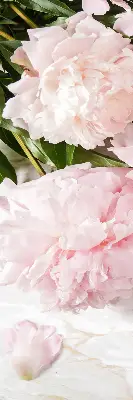 Rollo lichtundurchlässig Blumen