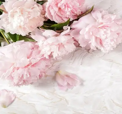 Rollo lichtundurchlässig Blumen