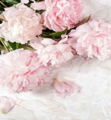 Rollo lichtundurchlässig Blumen