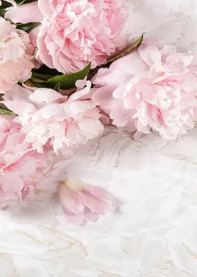 Rollo lichtundurchlässig Blumen
