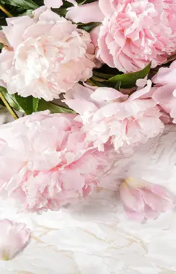 Rollo lichtundurchlässig Blumen