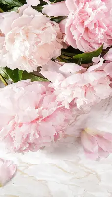 Rollo lichtundurchlässig Blumen
