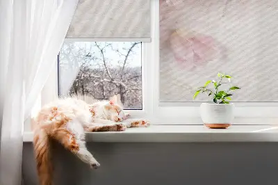 Rollo lichtundurchlässig Blumen
