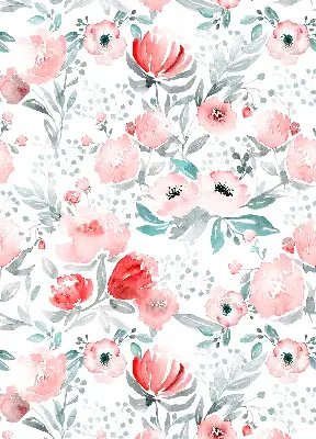 Fenster rollo Rosa Mohnblume