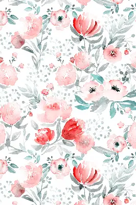 Fenster rollo Rosa Mohnblume