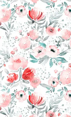 Fenster rollo Rosa Mohnblume