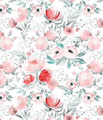 Fenster rollo Rosa Mohnblume