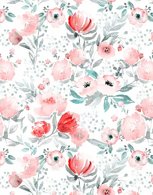 Fenster rollo Rosa Mohnblume