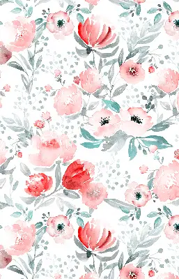 Fenster rollo Rosa Mohnblume