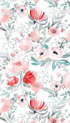 Fenster rollo Rosa Mohnblume
