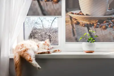 Fenster rollo Eine Tasse Kaffee
