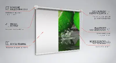 Rollo lichtundurchlässig Limetten im Wasser